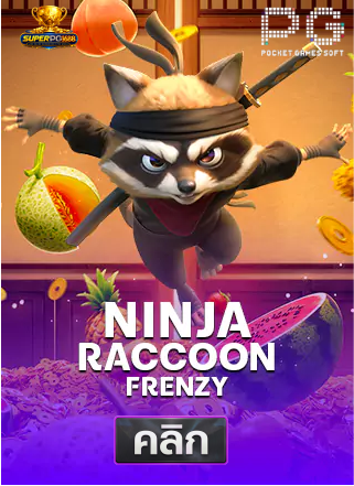 PG-Ninja-Raccoon-Frenzy-superpg1688